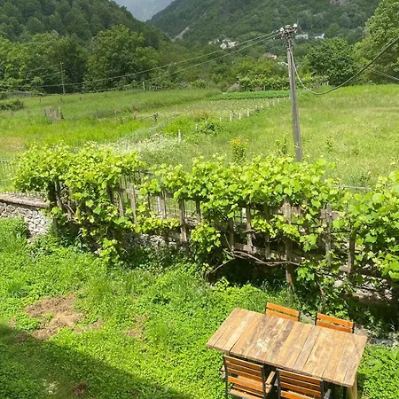 Sibora
